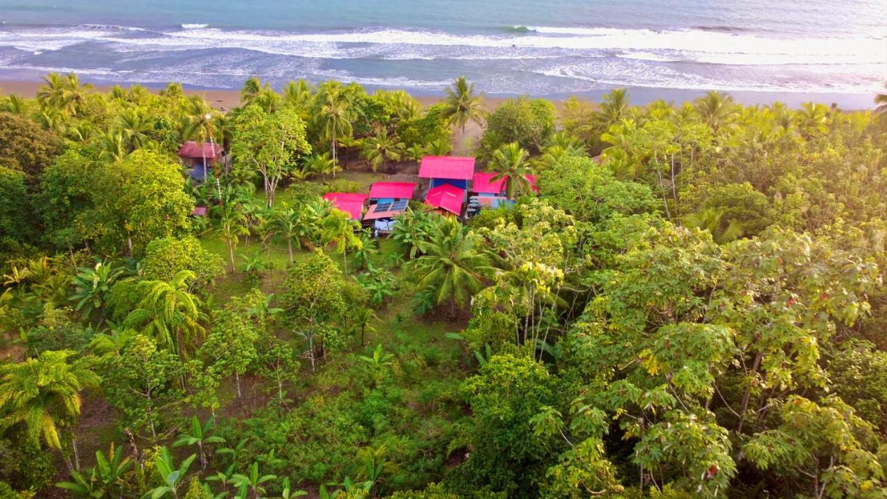 Tortuga Bay Eco Hotel El Valle  Zewnętrze zdjęcie