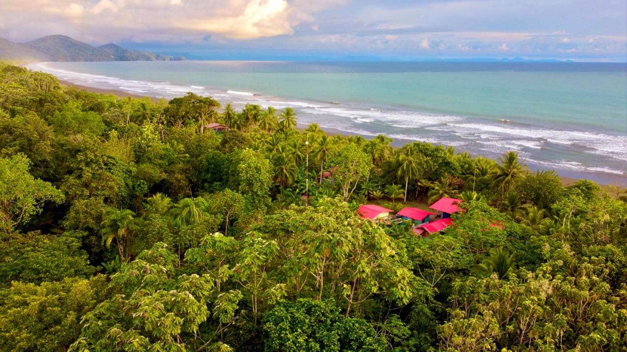 Tortuga Bay Eco Hotel El Valle  Zewnętrze zdjęcie