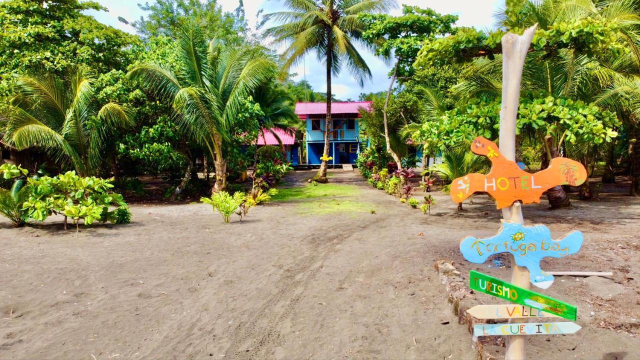 Tortuga Bay Eco Hotel El Valle  Zewnętrze zdjęcie