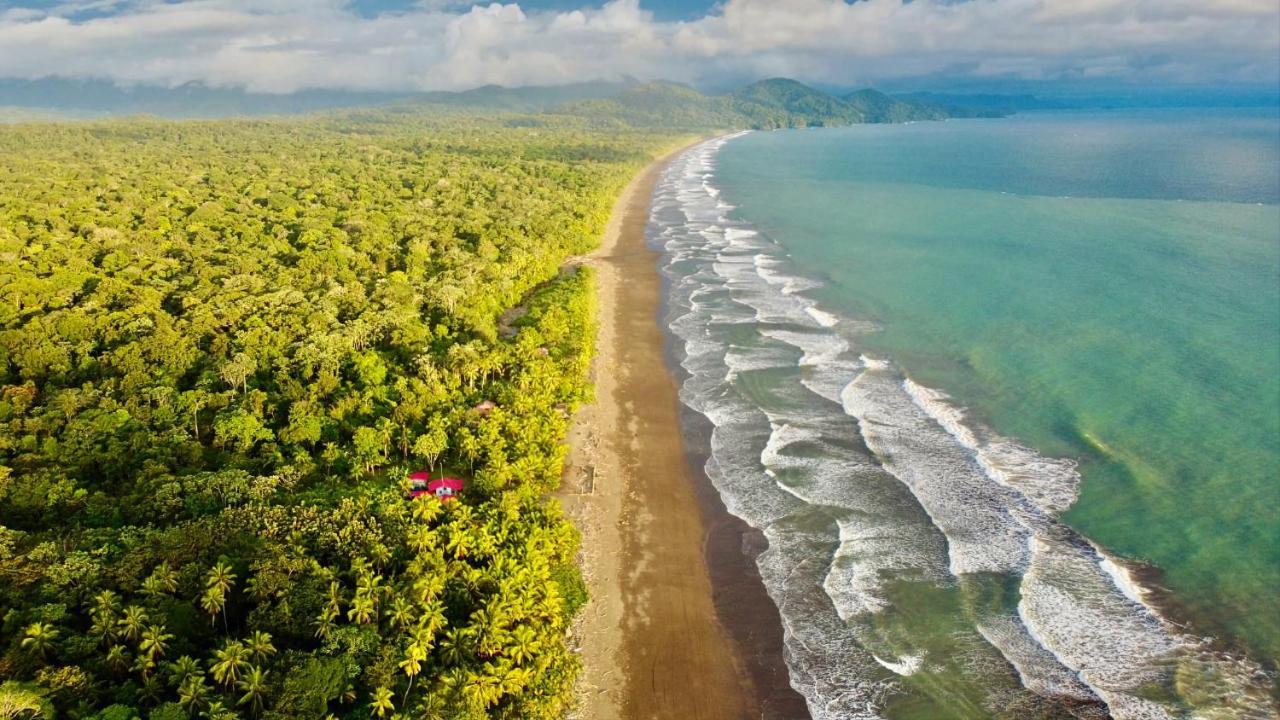 Tortuga Bay Eco Hotel El Valle  Zewnętrze zdjęcie