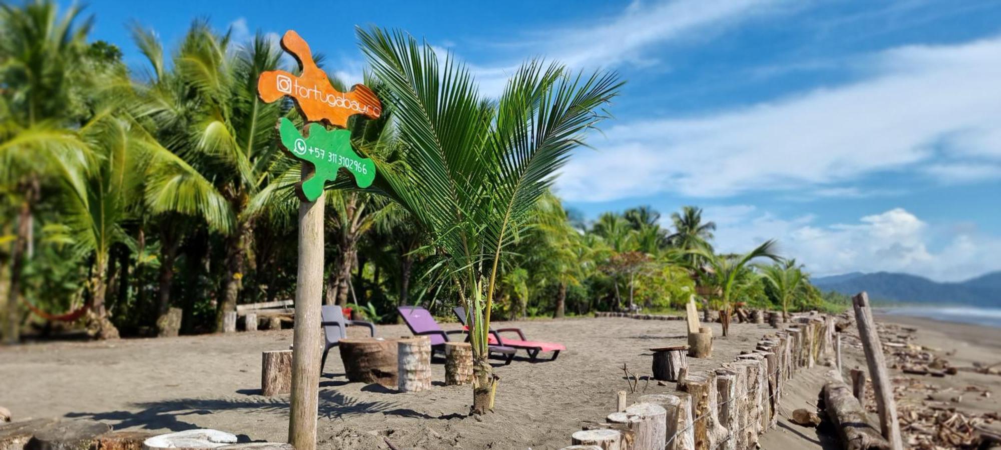 Tortuga Bay Eco Hotel El Valle  Zewnętrze zdjęcie
