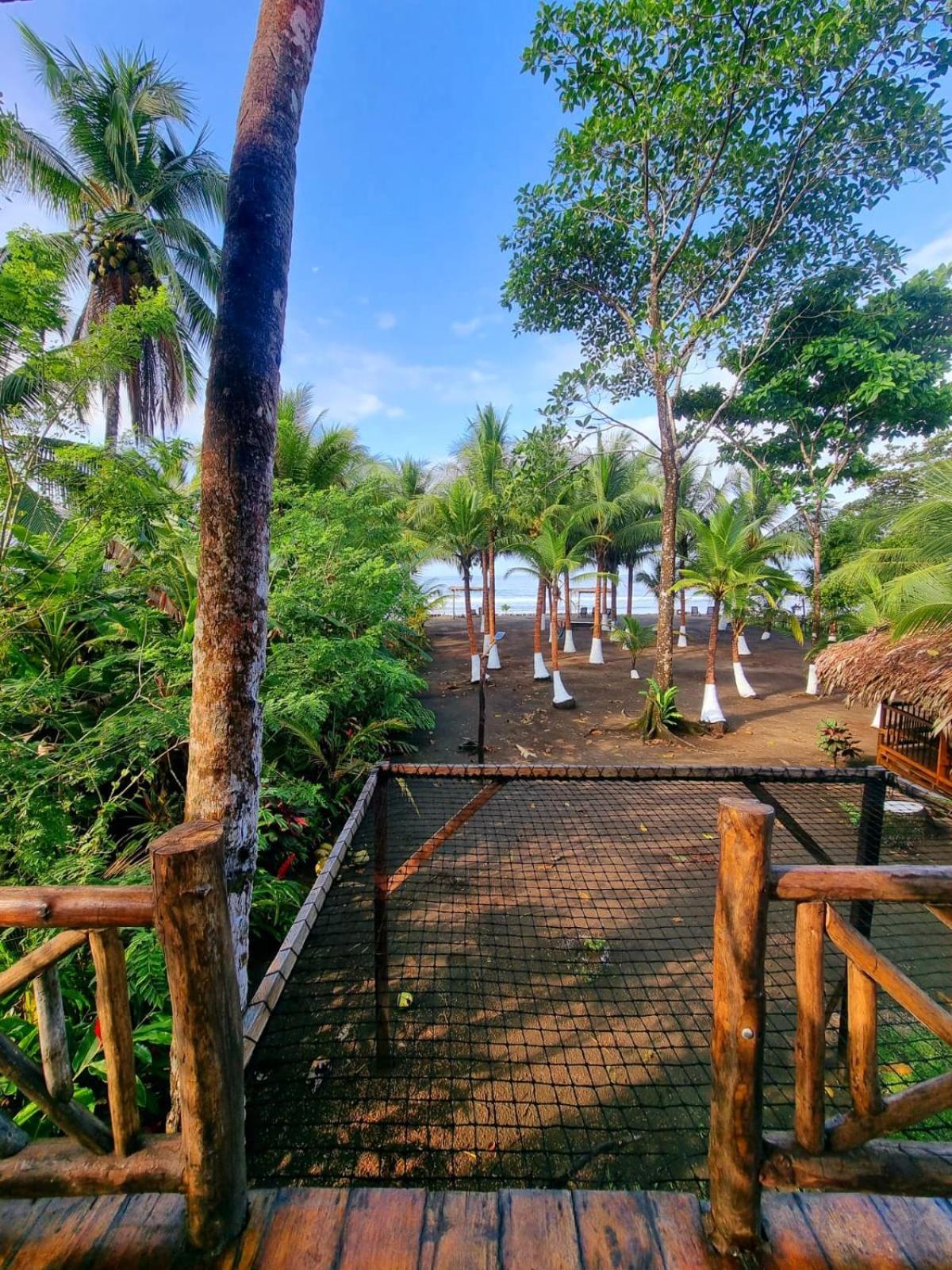 Tortuga Bay Eco Hotel El Valle  Pokój zdjęcie