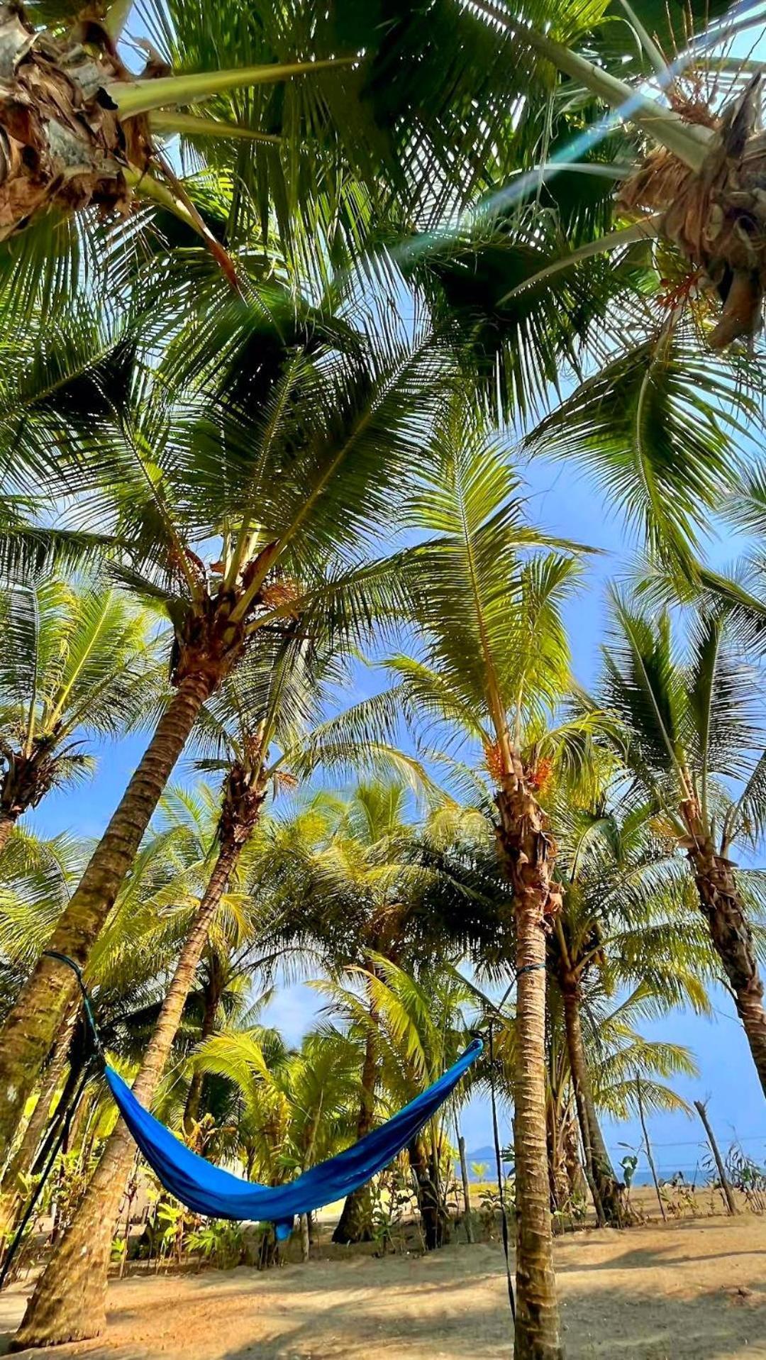 Tortuga Bay Eco Hotel El Valle  Zewnętrze zdjęcie