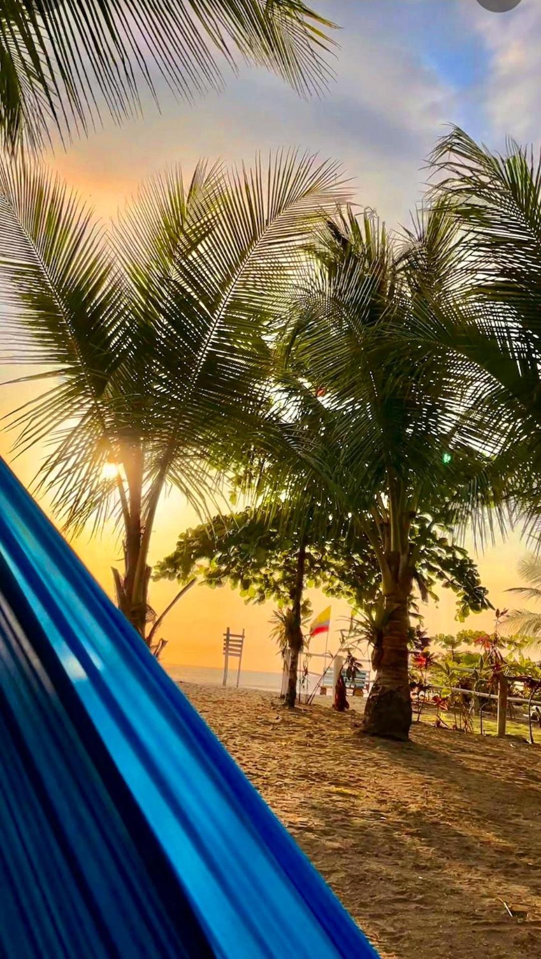 Tortuga Bay Eco Hotel El Valle  Zewnętrze zdjęcie